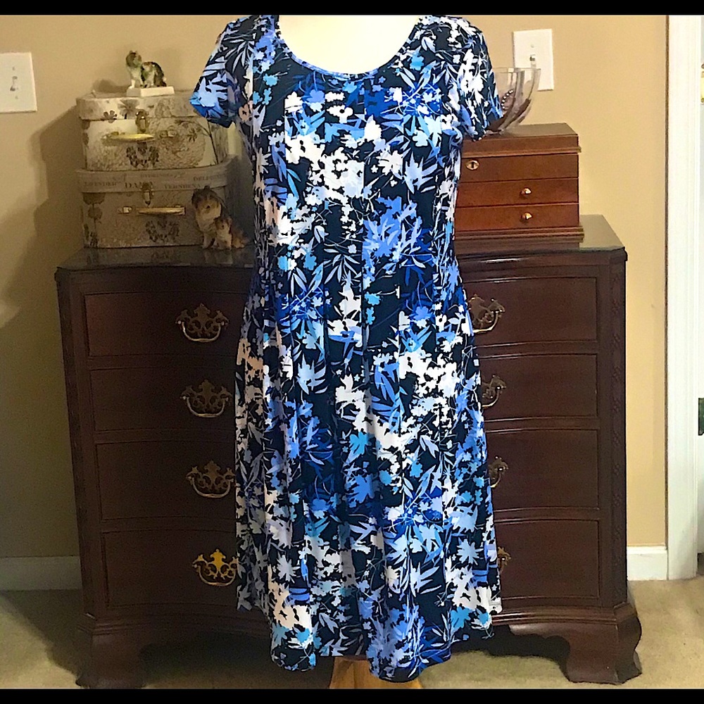 Kim Rogers Shift Dress Petite XL